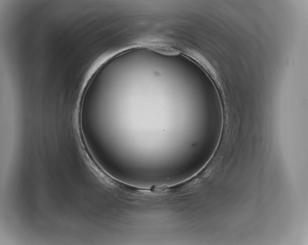 X0000112801344200908211126