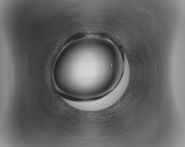 X0000112801345200908211125