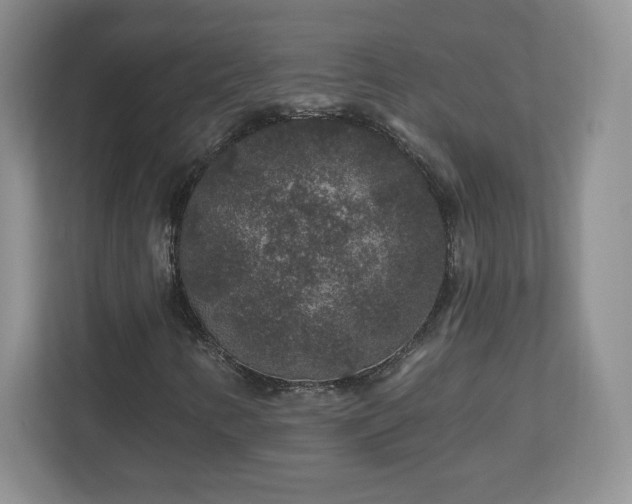 X0000112801346200908211125