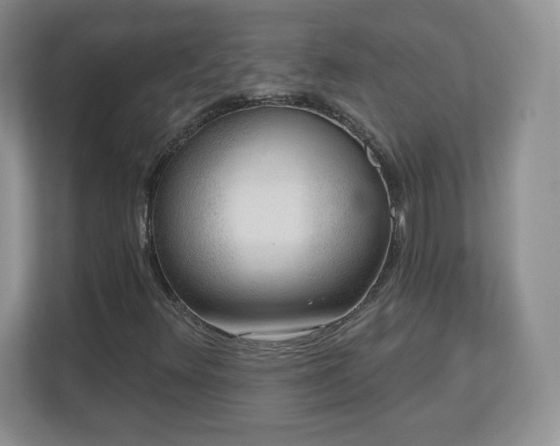 X0000112801348200908211125