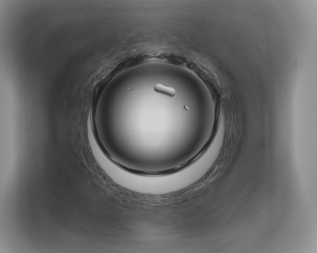 X0000112801349200908211125