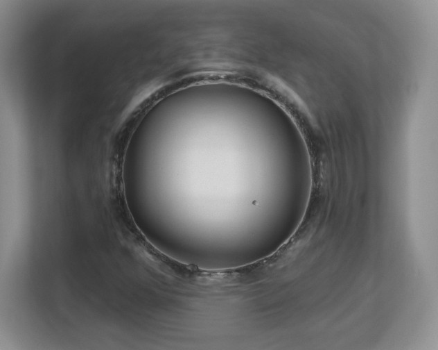 X0000112801352200908211125