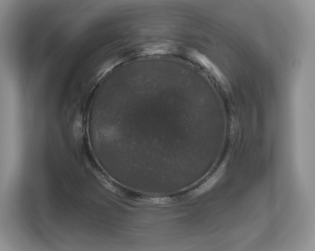 X0000112801353200908211125