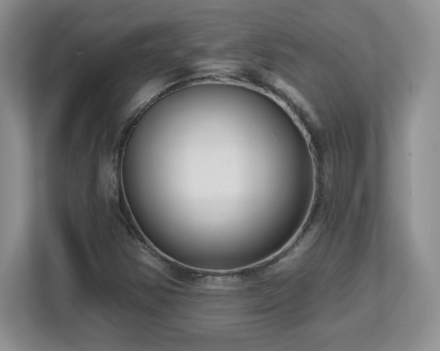 X0000112801354200908211125