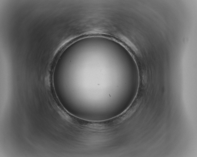 X0000112801356200908211125