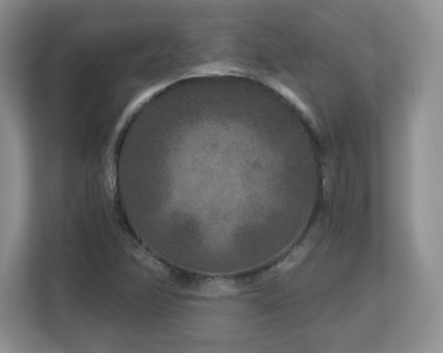 X0000112801358200908211125