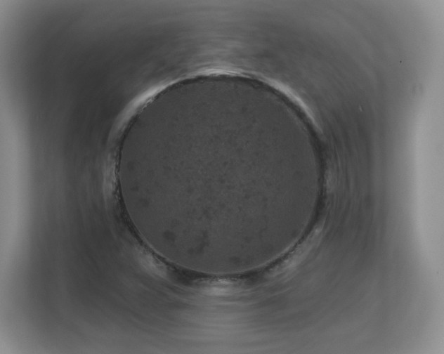 X0000112801359200908211125