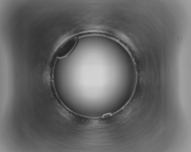 X0000112801360200908211125