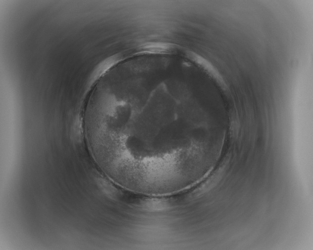 X0000112801362200908211125