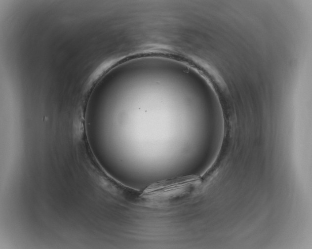 X0000112801363200908211125