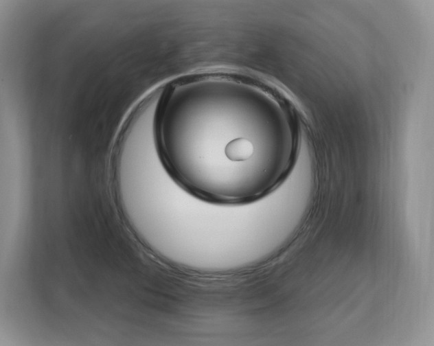 X0000112801364200908211125