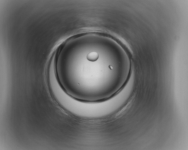 X0000112801365200908211125