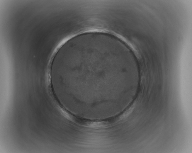 X0000112801367200908211125
