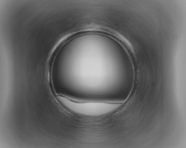 X0000112801368200908211125