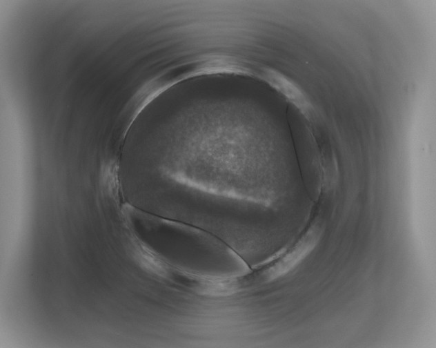 X0000112801369200908211125