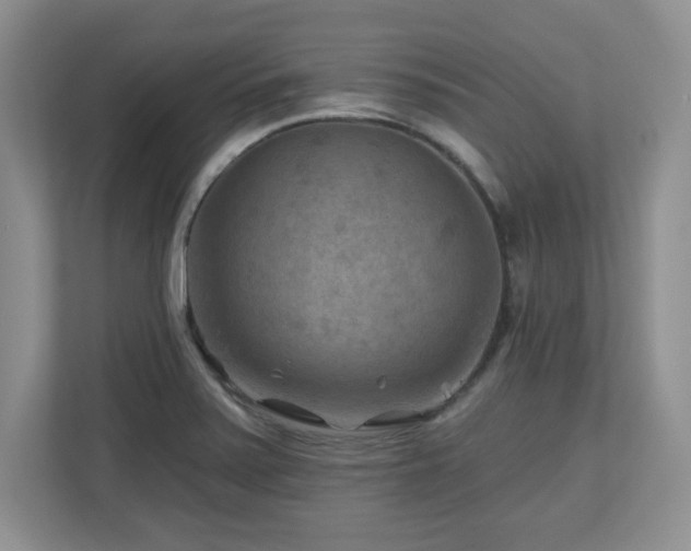 X0000112801371200908211125