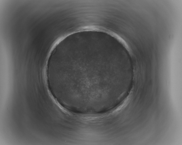X0000112801373200908211125