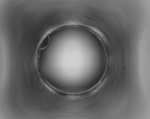 X0000112801374200908211125