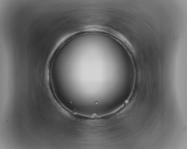 X0000112801376200908211125