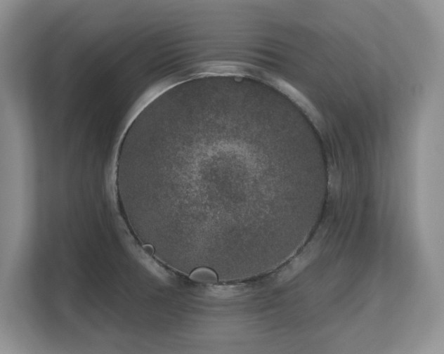 X0000112801378200908211125