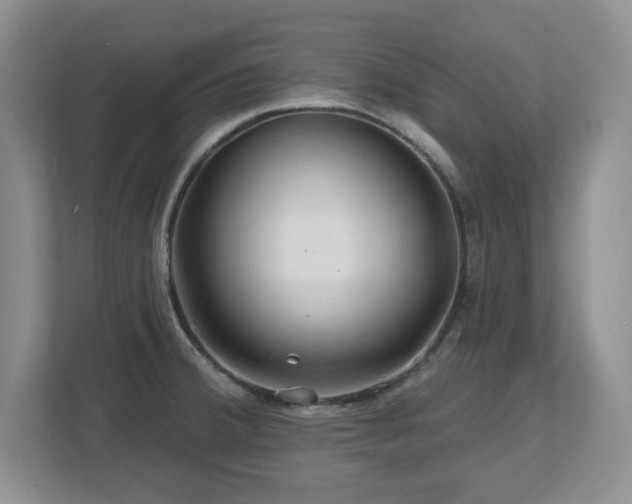 X0000112801380200908211125