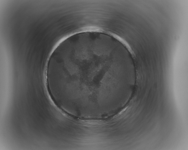 X0000112801383200908211125
