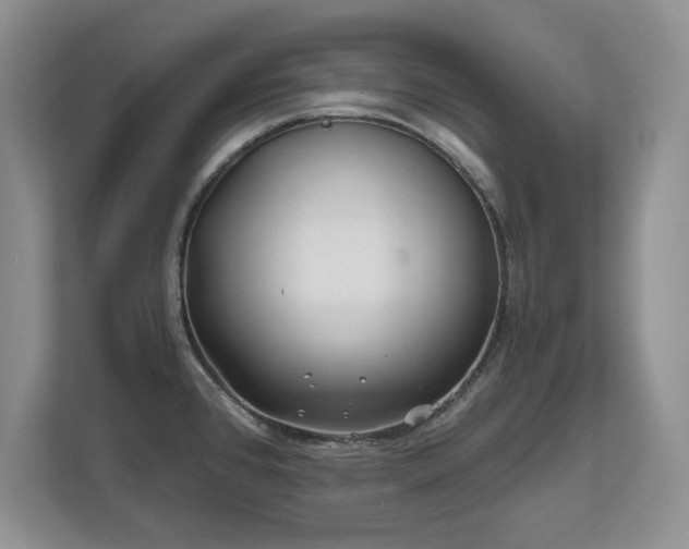 X0000112801384200908211125