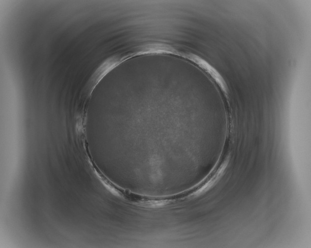 X0000112801385200908211125