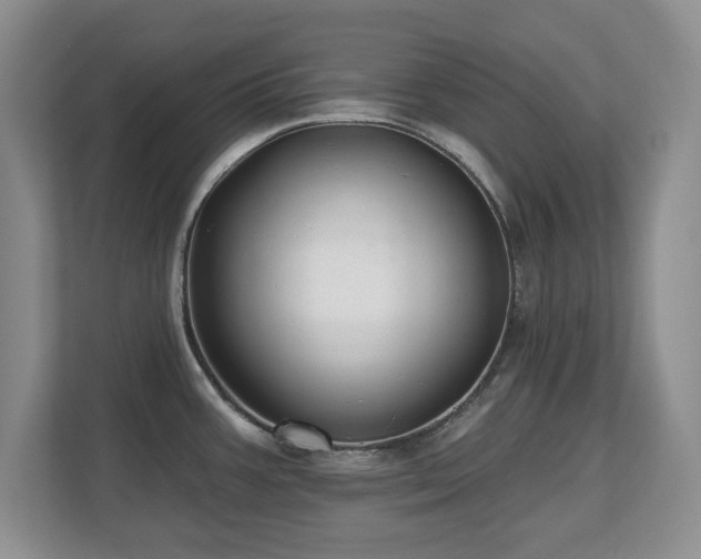 X0000112801387200908211125