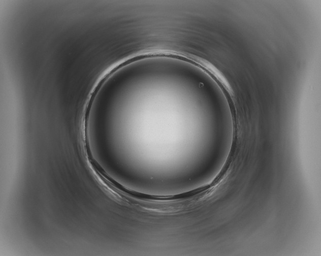 X0000112801388200908211125