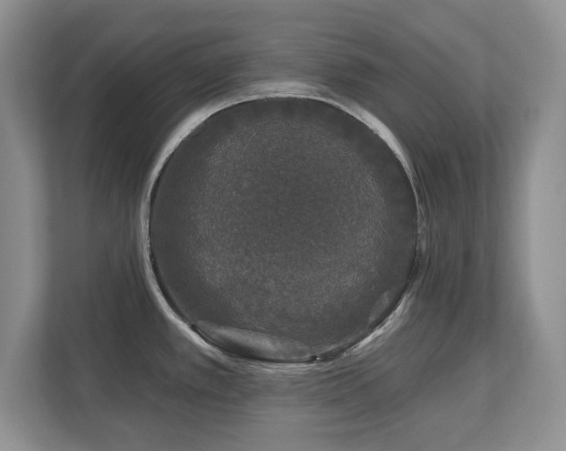 X0000112801389200908211125