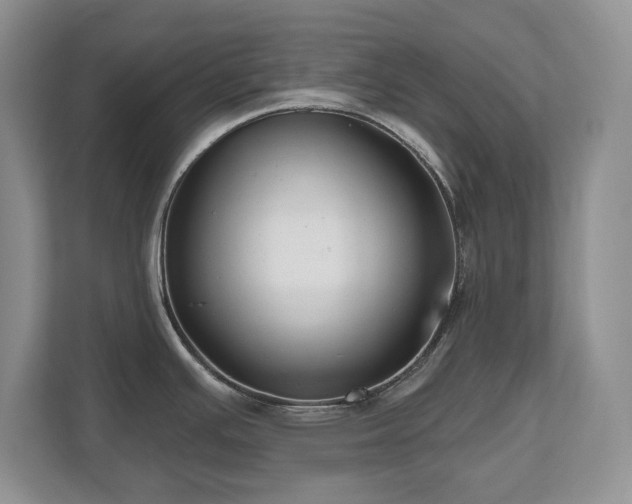 X0000112801391200908211125