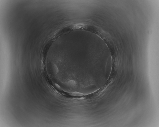 X0000112801394200908211124