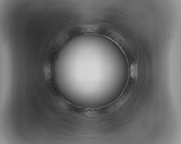X0000112801395200908211124