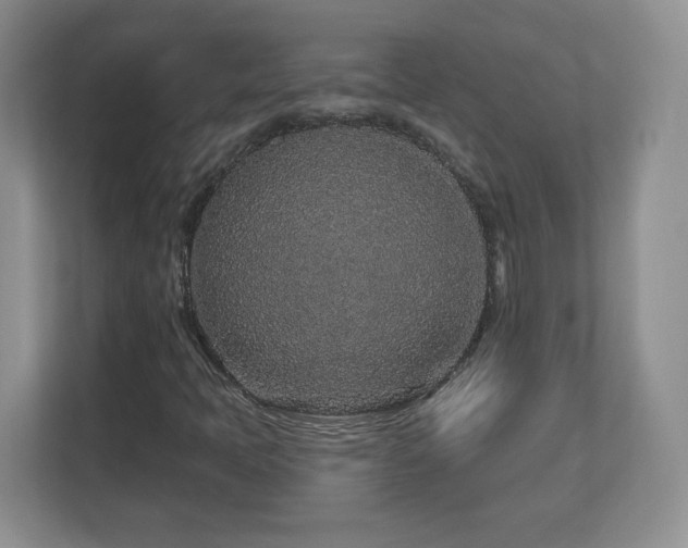 X0000112801397200908211124