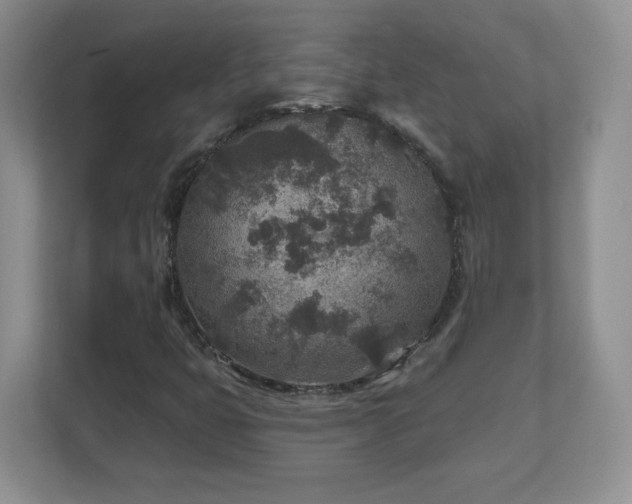 X0000112801399200908211124
