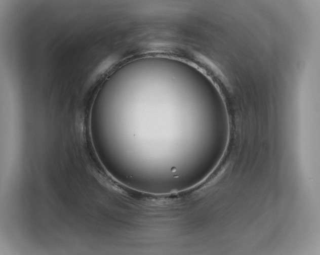 X0000112801403200908211124