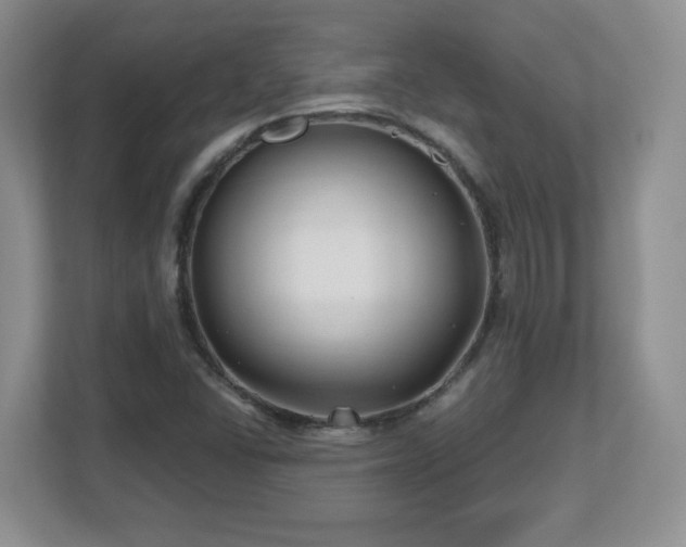 X0000112801406200908211124