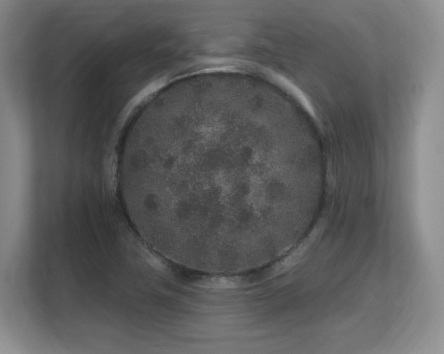 X0000112801411200908211124