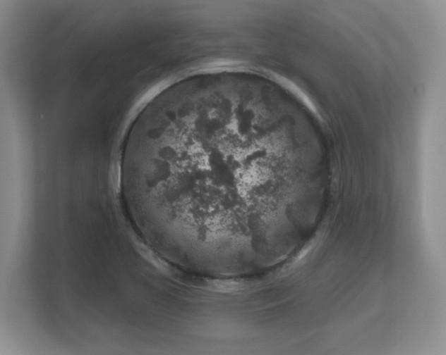 X0000112801413200908211124