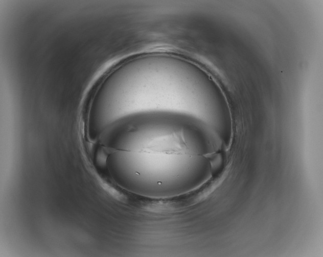 X0000112801414200908211124