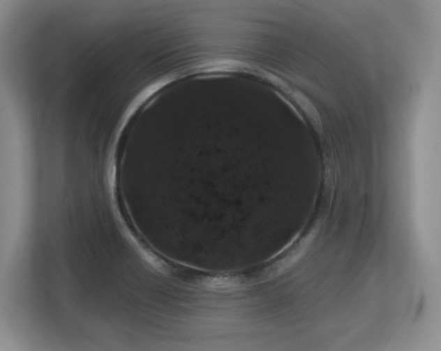 X0000112801418200908211124
