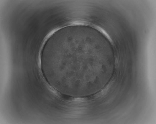 X0000112801419200908211124