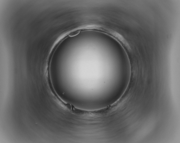 X0000112801420200908211124