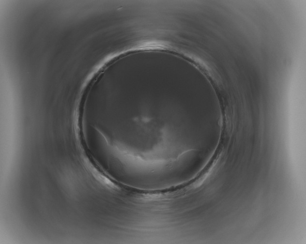 X0000112801422200908211124