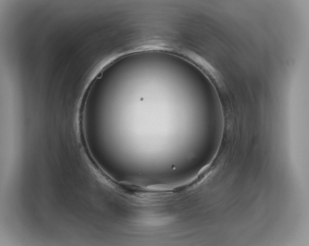 X0000112801423200908211124