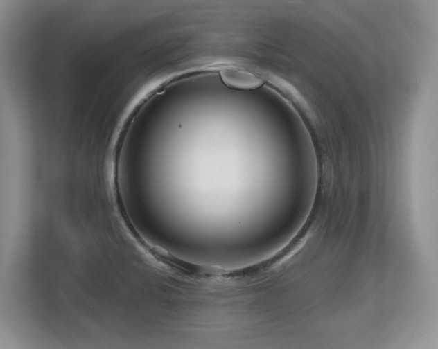 X0000112801424200908211124