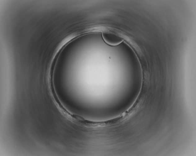 X0000112801426200908211124
