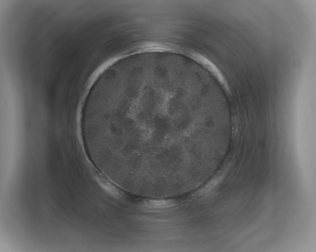 X0000112801427200908211124