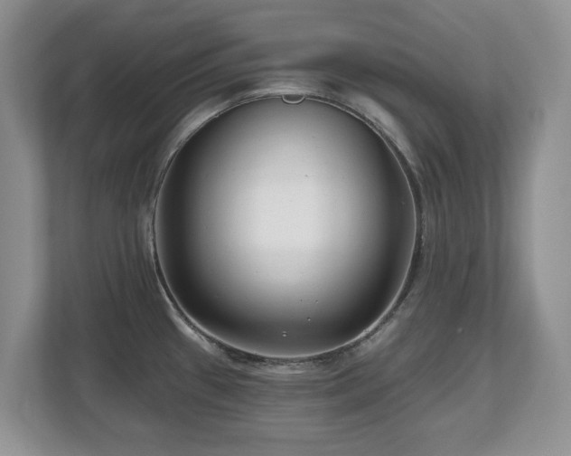 X0000112801433200908211124